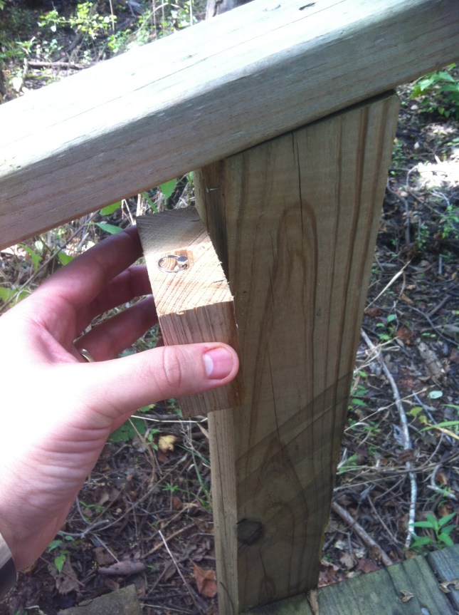 Small Bison Tube, just big enough for a log book.  Gotta bring your own pen!