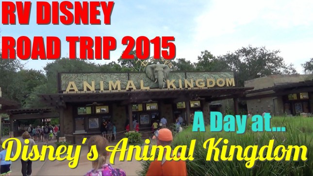 Animal Kingdom_Fotor_Fotor